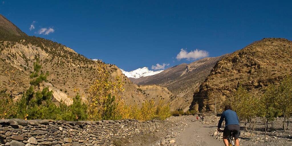 Mustang – Mountain Biking