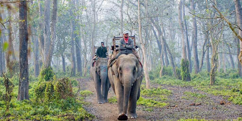 Trip to Kathmandu with Chitwan